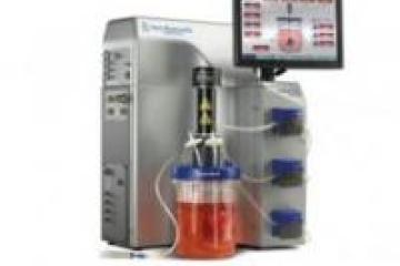 Cell Culture | Parnassus Center for Advanced Technologies